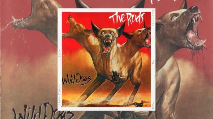 wild dogs CD