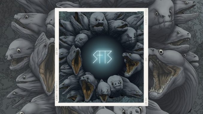 Stone From The Sky cd