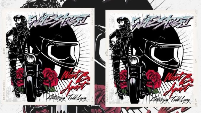 wildstreet 2022 - cd (1)