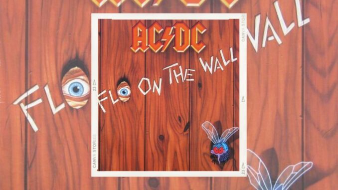 ACDC 2024