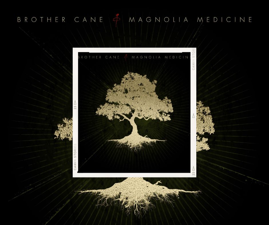 🟠 [Chronique] Brother Cane – Magnolia Medicine (2026) par le Doc. 🟠 ...